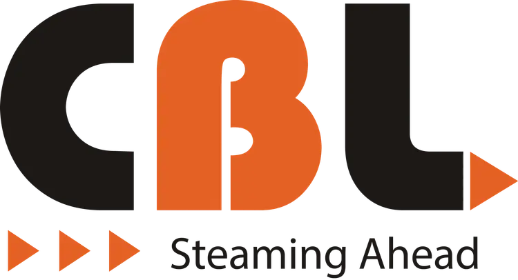 CHEEMA BOILERS LIMITED logo